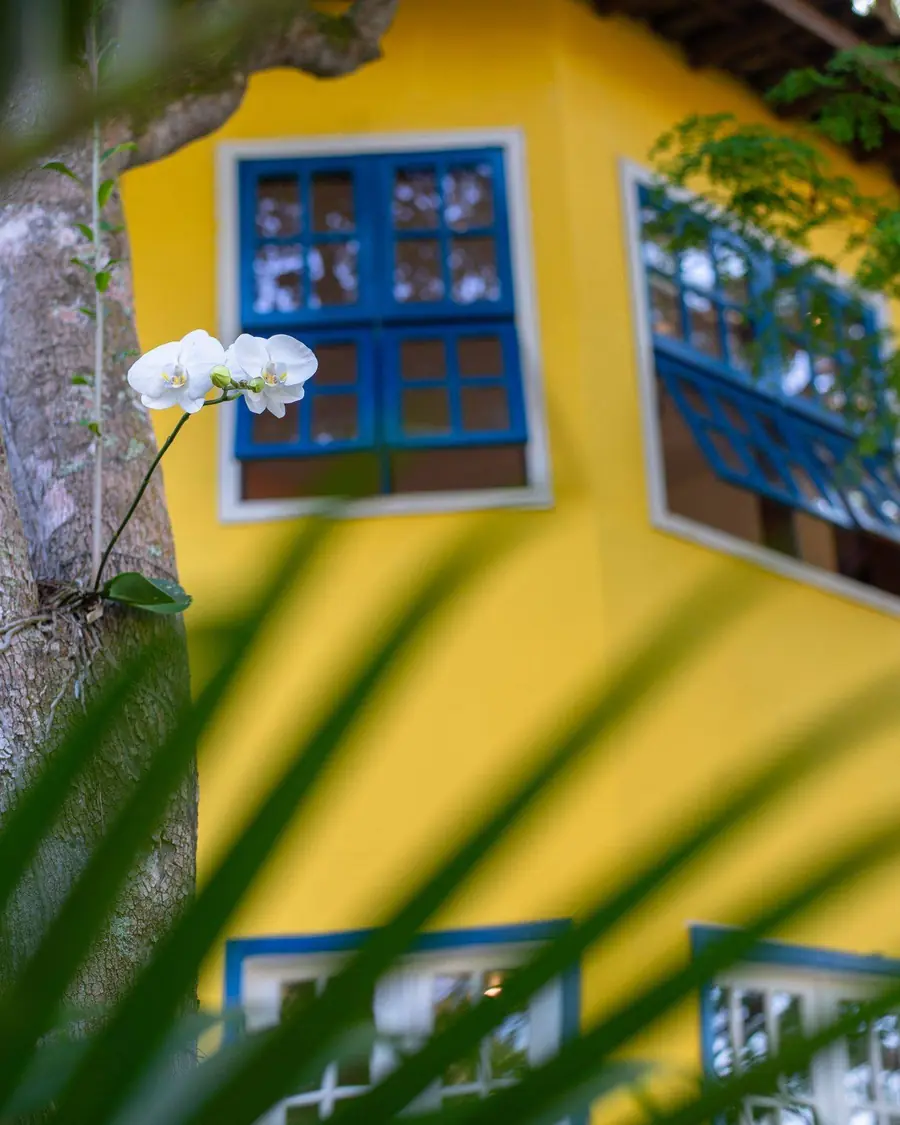 janelas azuis